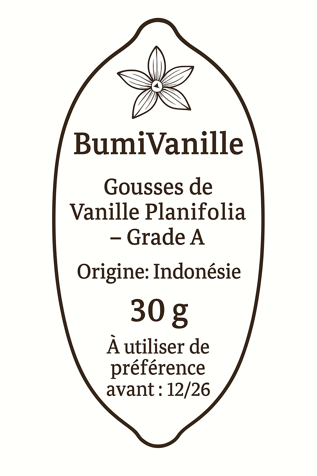Gousses de Vanille Artisanales d'Indonésie