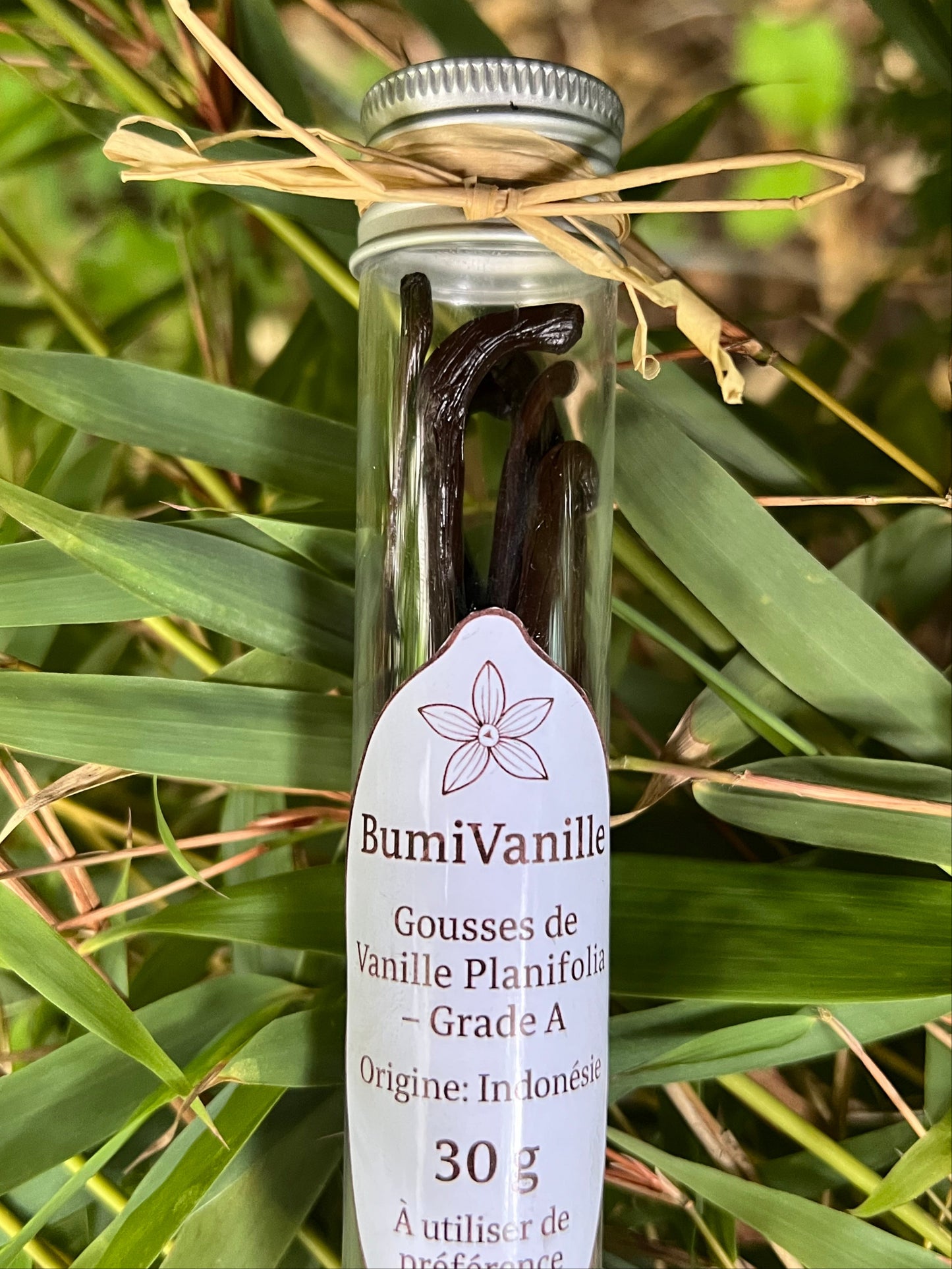 Gousses de Vanille Artisanales d'Indonésie